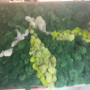 Moss wall art